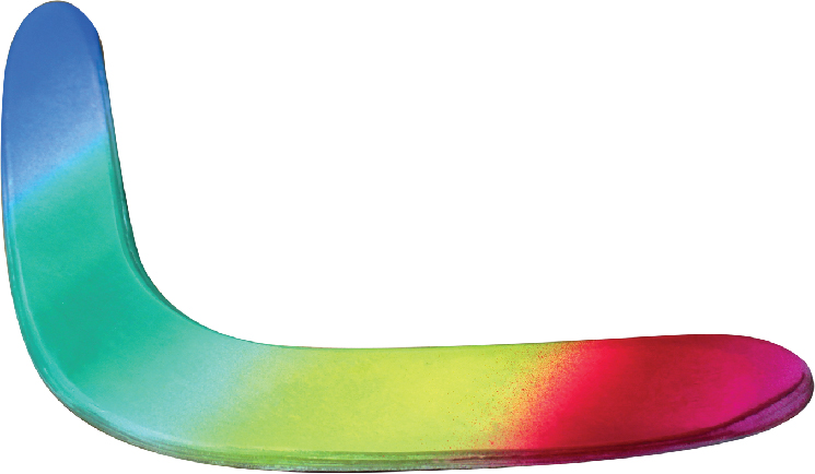 บูมเมอร์แรง SPL Wood Boomerang RB-012